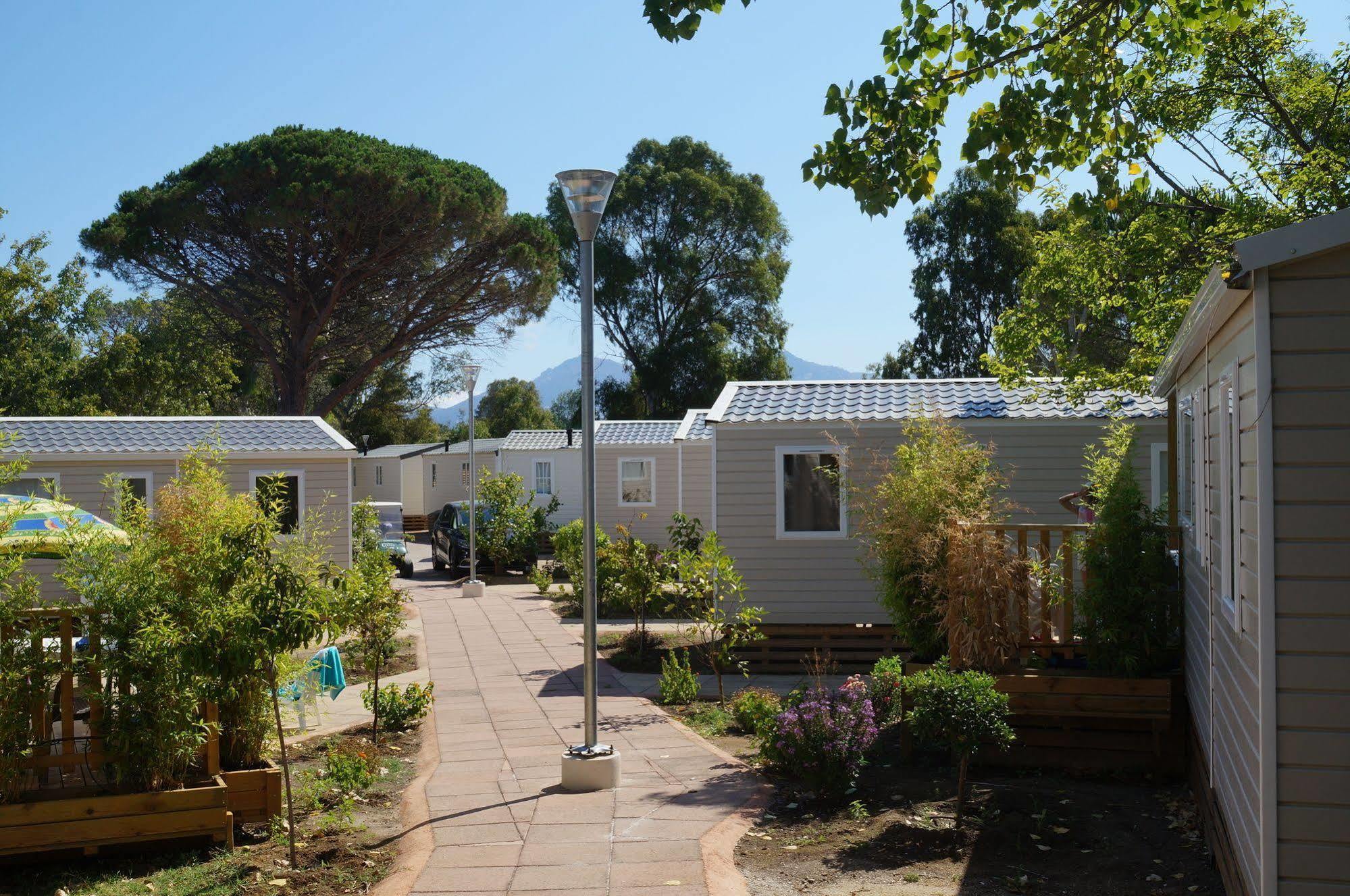 International Campingplatz Calvi (Corsica)